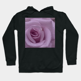 Pink Rose Close Up Hoodie